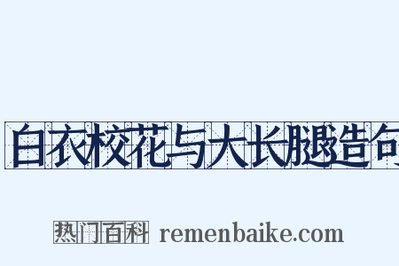 白衣校花与大长腿造句是什么意思的图片